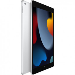 iPad 10,2 po 256 Go avec Wi-Fi d'Apple (9e génération) - Argent